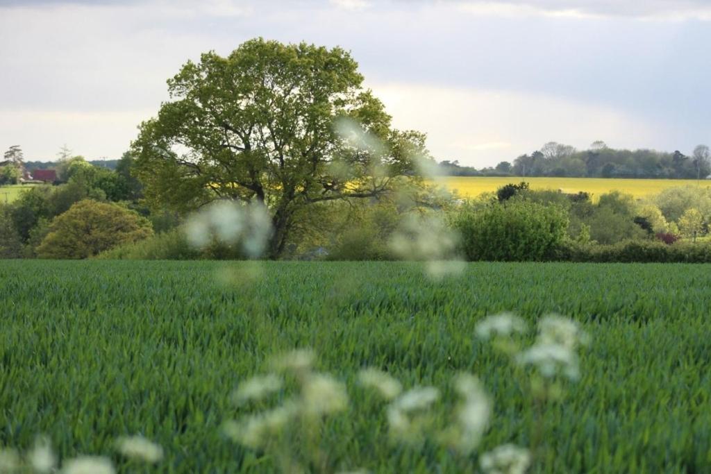 Lovely 3 Bedroom House In The Centre Of Lavenham Εξωτερικό φωτογραφία